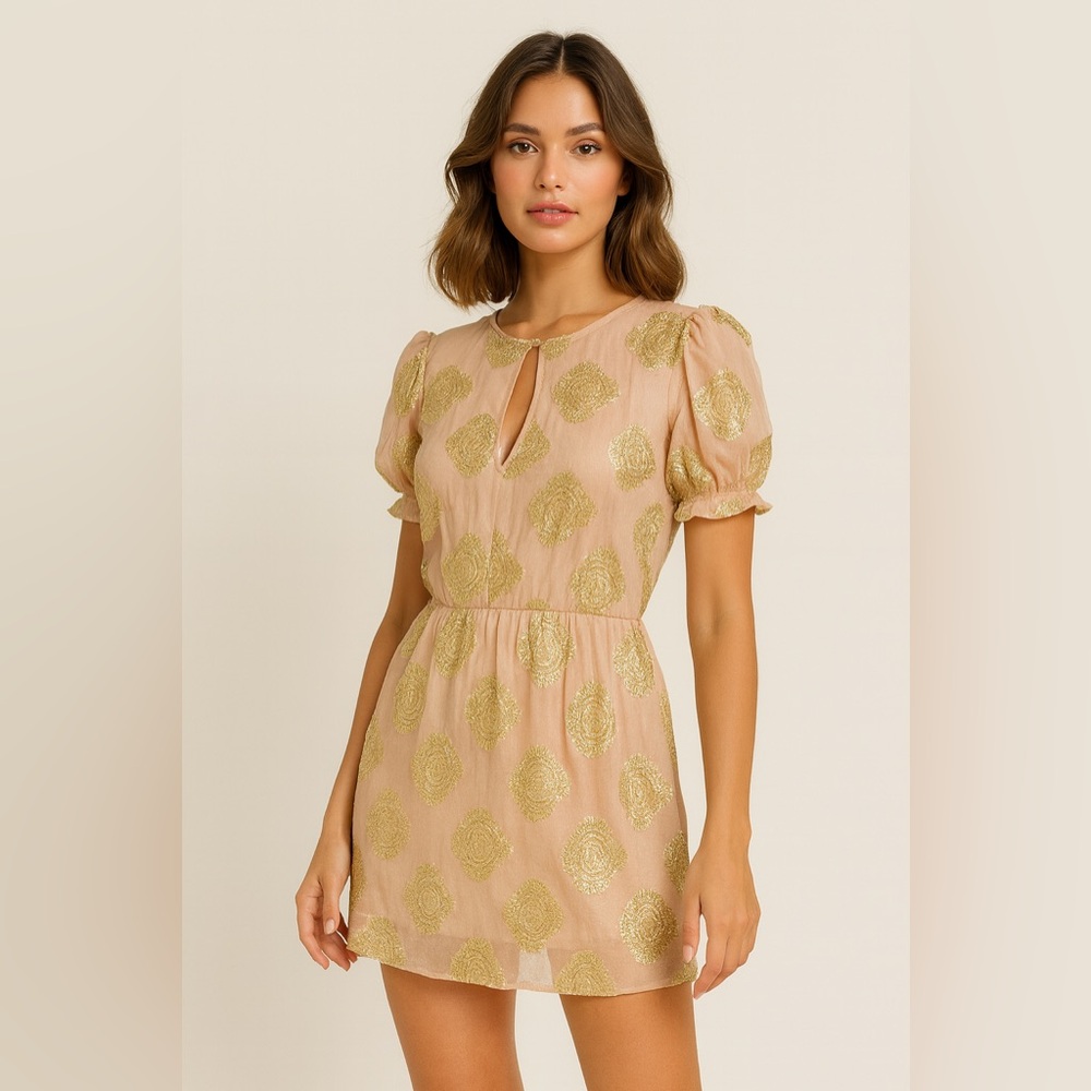 NSR Nordstrom Blush Pink and Gold Dress Sz. XL NWT